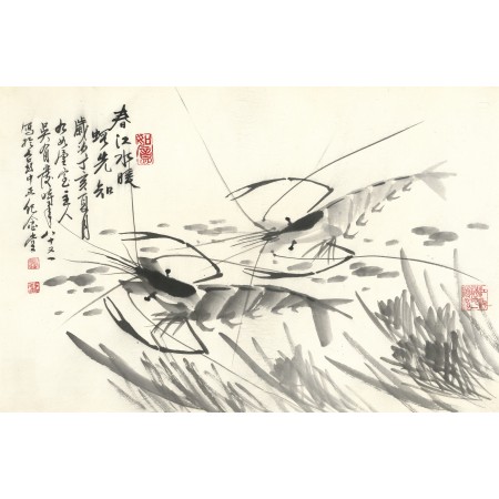 春到蝦先知